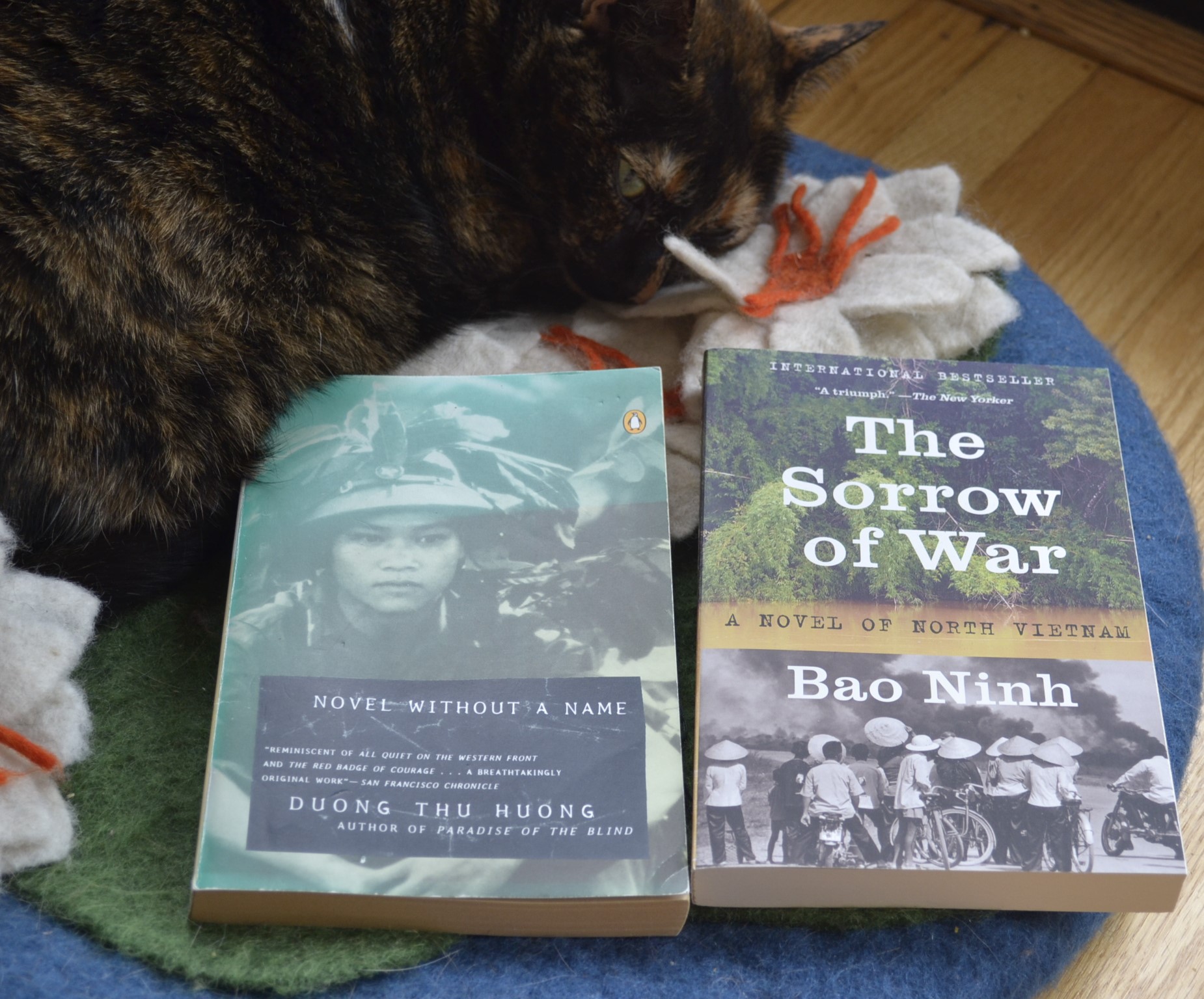 The Sorrow of War and Novel Without a Name are laid side-by-side on a cat bed. A tortoiseshell cat sleeps beside them.
