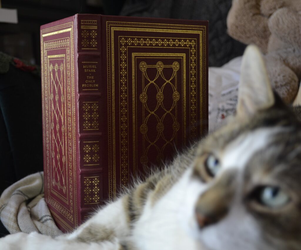 A red leatherbound book embossed with gold patterns sits on a chair with a cat.