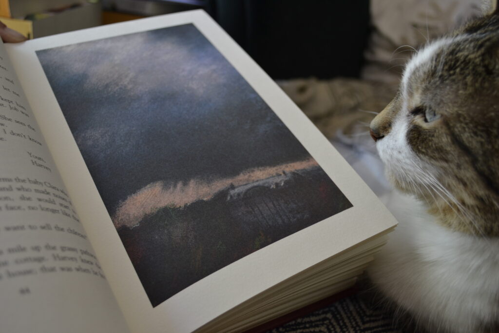 A tabby cat sits beside an open book. On the page, there is an illustration of dark and murky landscape with a greenhouse.