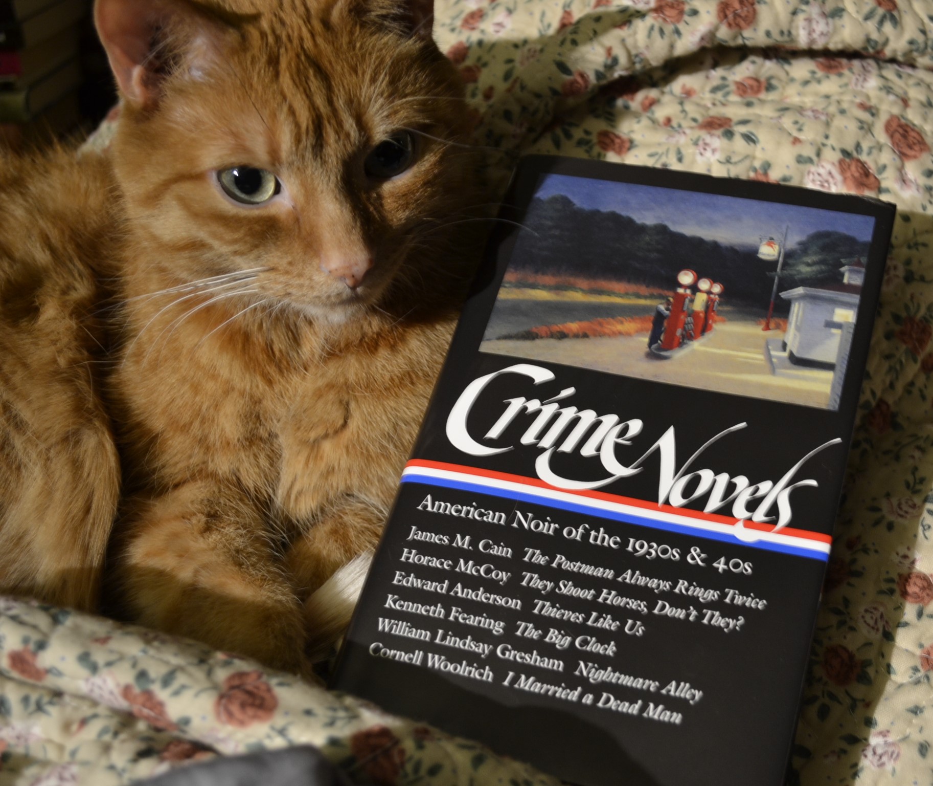 An orange tabby curls beside a book with a black dust jacket that has a painting of an old-fashioned gas station on it.