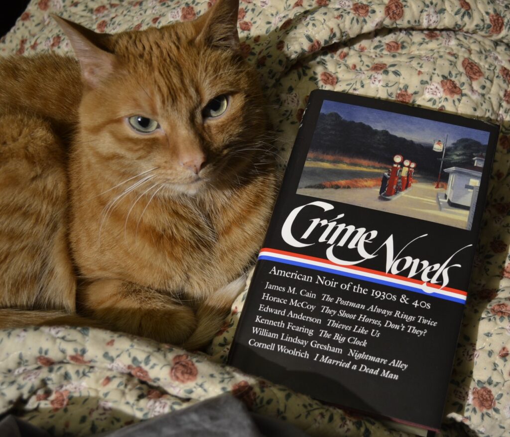 An ornage tabby cat lounges beside a copy of Crime Novels: American Noir of the 1930s & 40s.