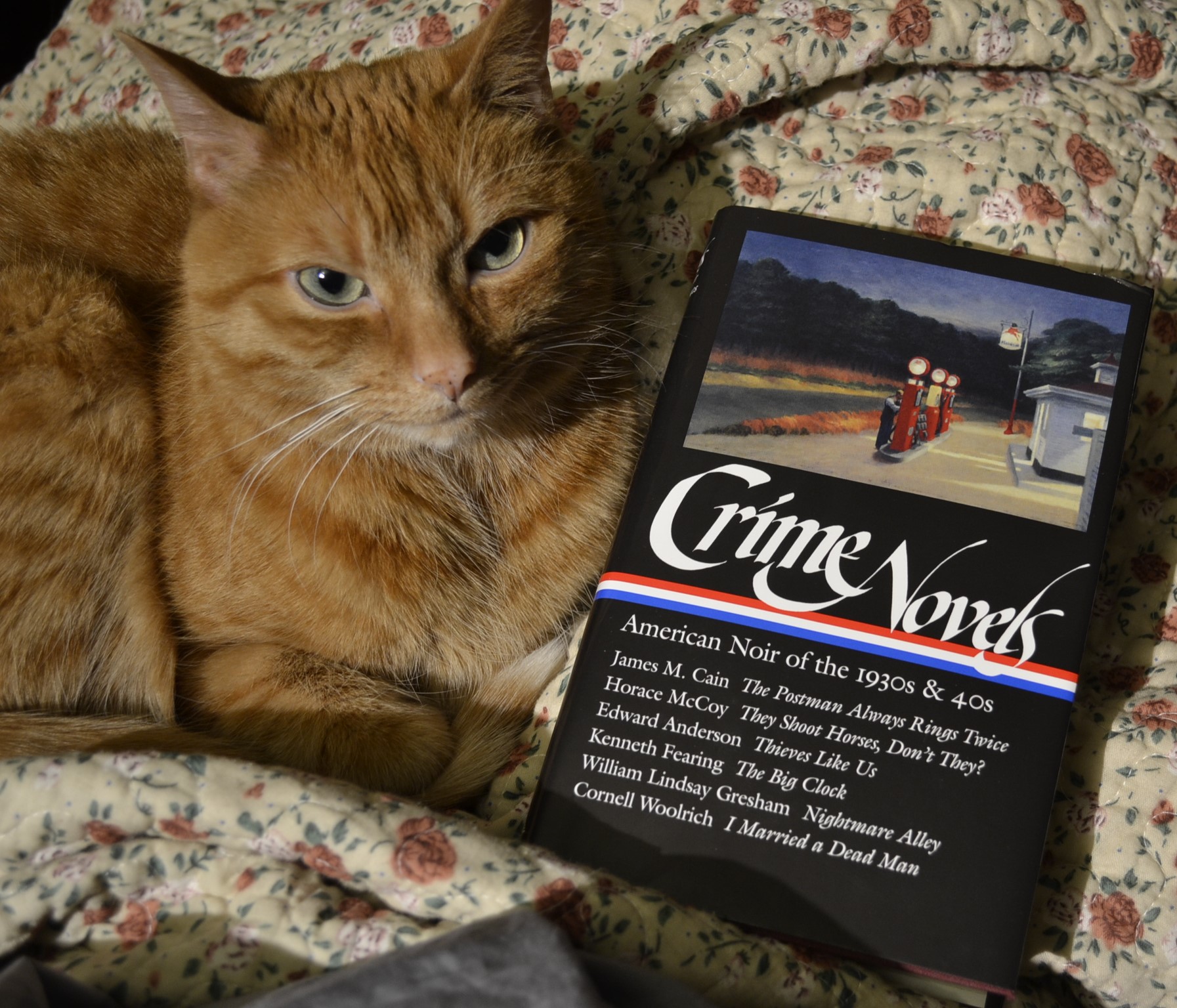 Crime Novels of the 1930s and 1940s – Old Paper & Cats, Reviews by S ...
