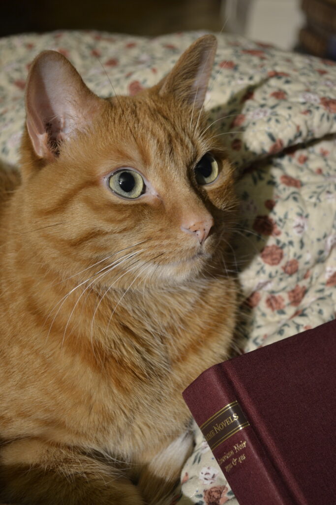 An orange tabby cat peers over the edge of a burgundy cloth-bound book, embossed with gold writing.