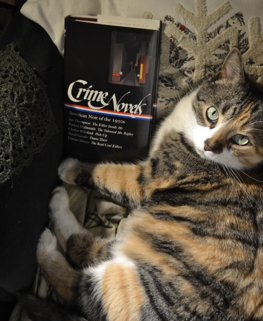 A calico tabby and a book of crime novels are nestled into the corner of an armchair.