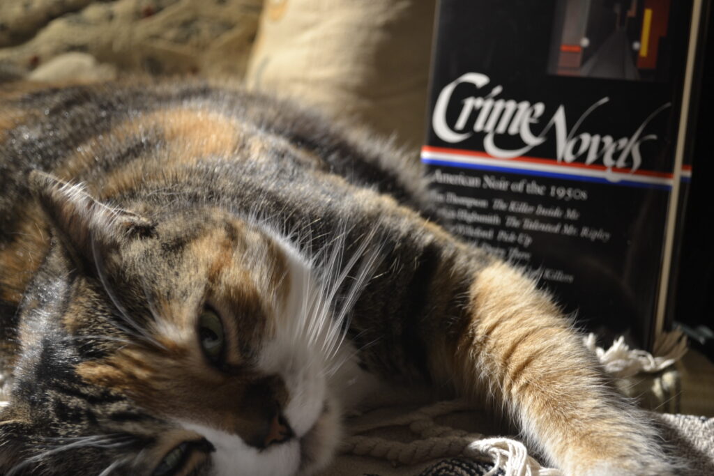 A calico tabby stretches out beside a black book, Crime Novels: American Noir of the 1950s.