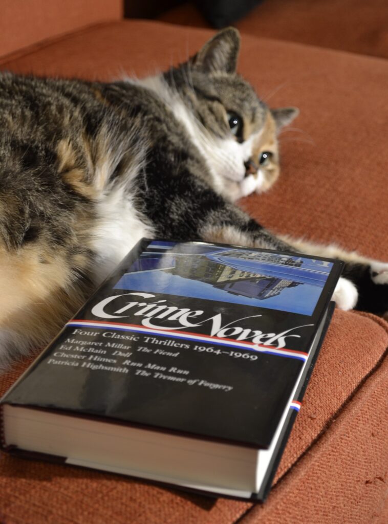 A calico tabby lies despondently beside a black hardcover book.