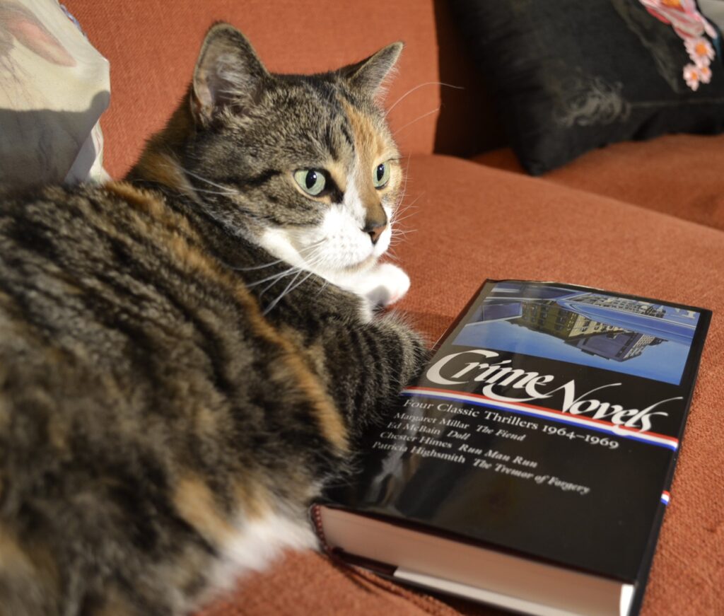 A calico tabby lays beside a copy of Crime Novels: Four Classic Thrillers 1964–1969.