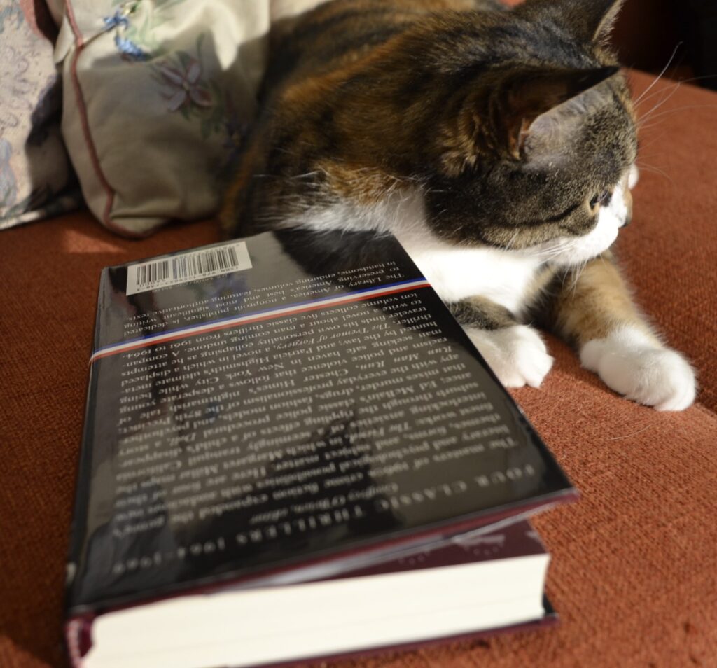 A book lies face-down on an orange sofa. A calico tabby is leaning against it and looking away.