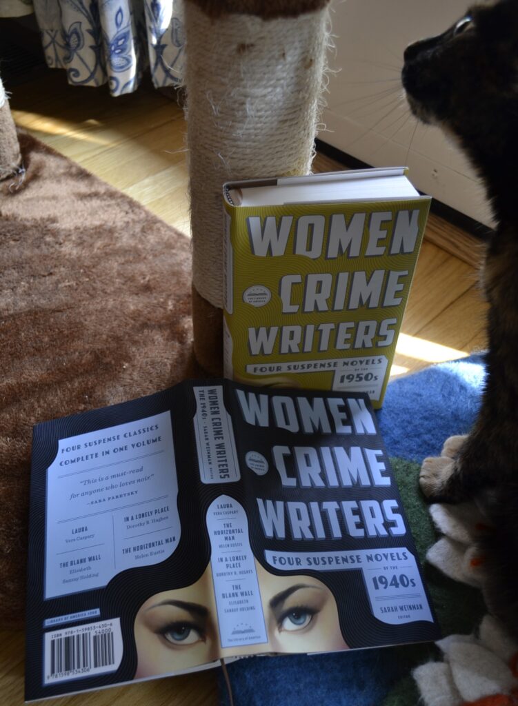 The Women Crime Writers collection covers feature an image of a woman's eyes when they are spread open.