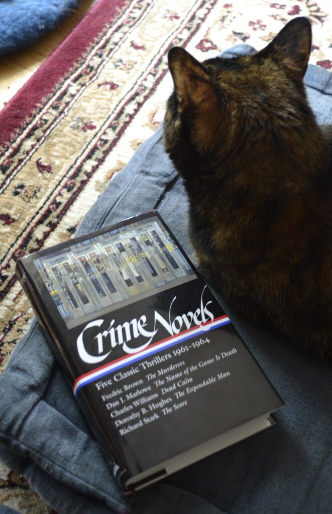 A tortie hunkers beside a black hardcover book.