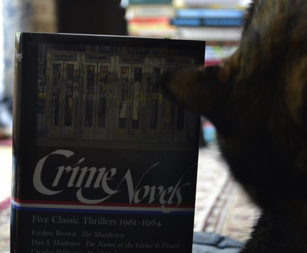 A tortie sits beside a black book titled Crime Novels.