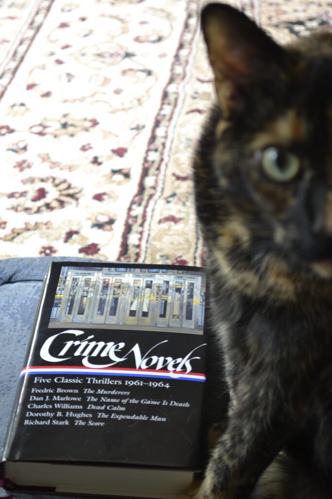 A tortie looks at you from beside a black book titled Crime Novels.