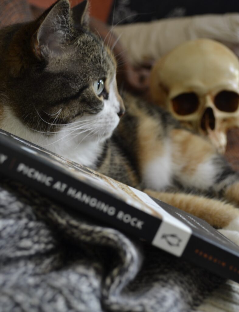 Picnic at Hanging Rock leans against the paws of a calico tabby.