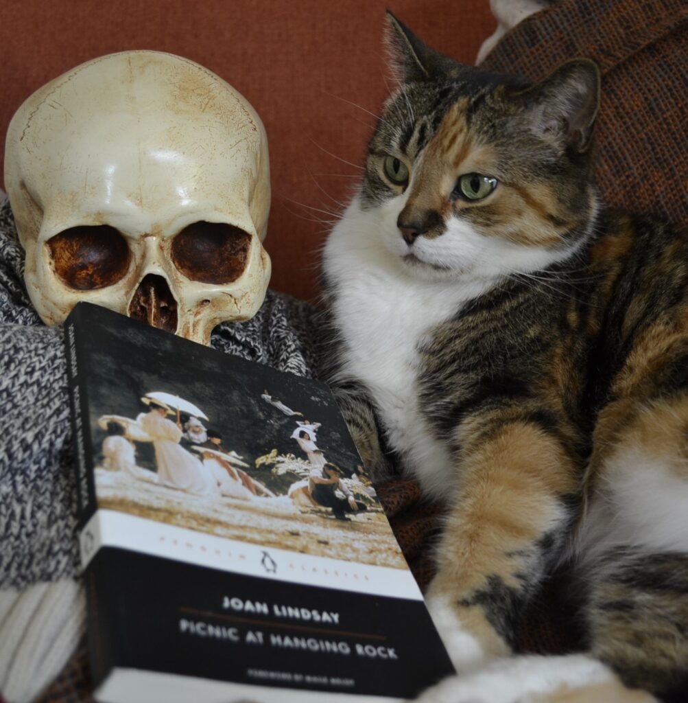 A calico tabby and a skull frame a book: Picnic at Hanging Rock.