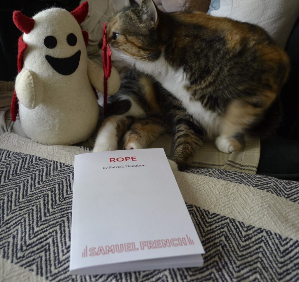 A calico tabby levels a glare at a toy ghost. The script for Rope is by her paws.