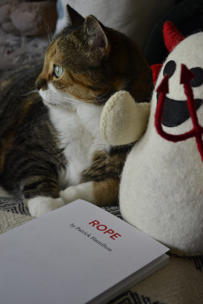 A calico tabby looks off into the distance, with her paws crossed on the script for Rope.