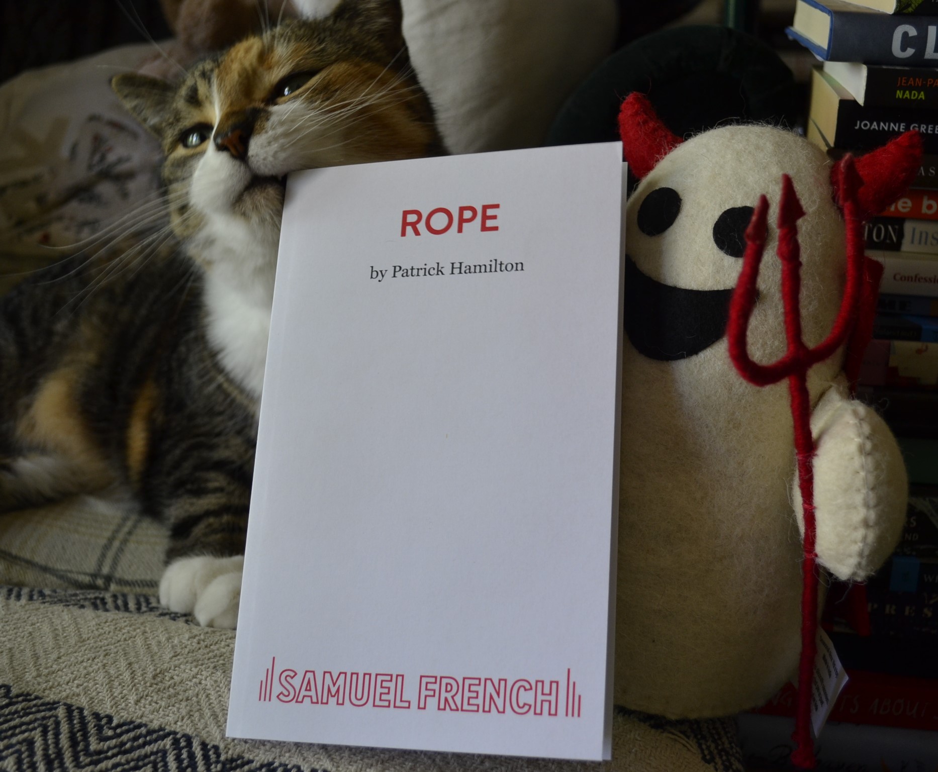 A white ghost toy wearing a read devil costume holds a white book with a red title. A calico tabby rubs the top corner of the book along her mouth.