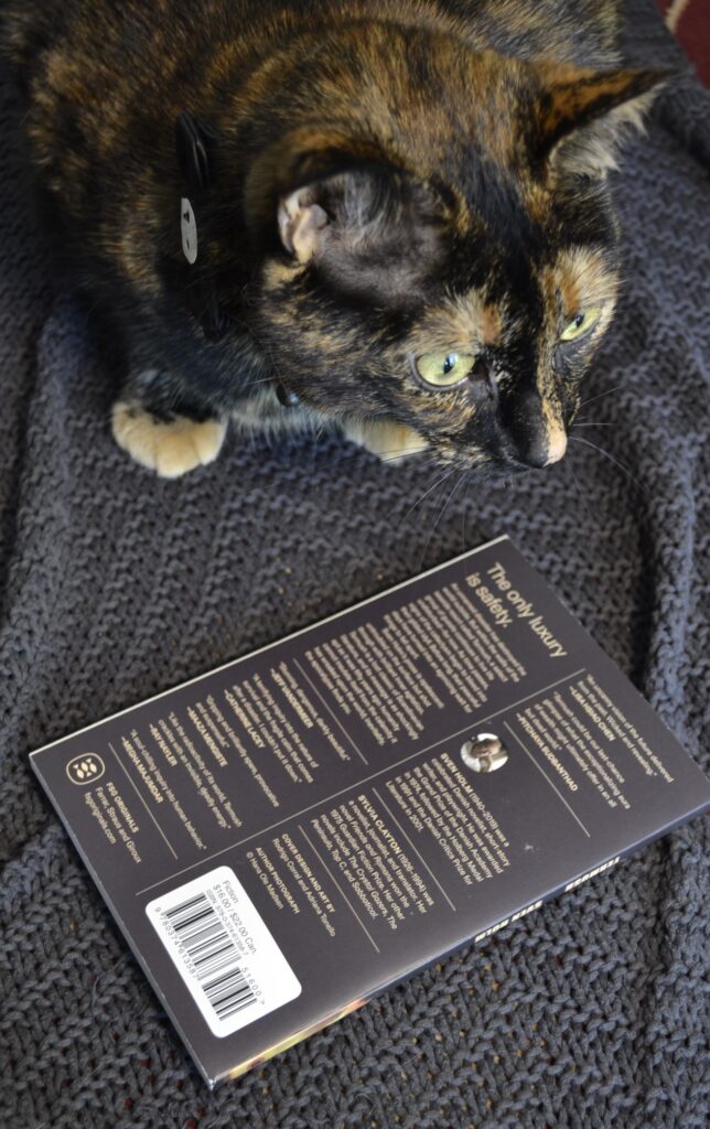 A tortoiseshell cat wearing a spooky skeleton bow lurks beside a black book.