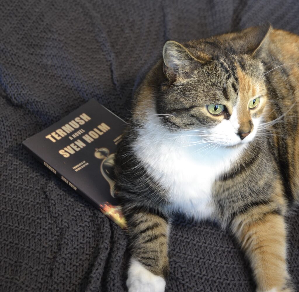 A calico tabby leans with its paws spread. Beneath it is the book Termush.