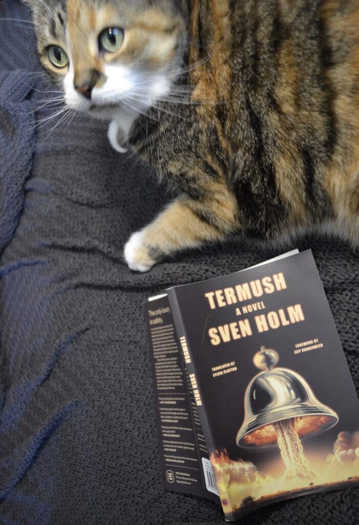 A calico tabby stands beside a book with a black cover.