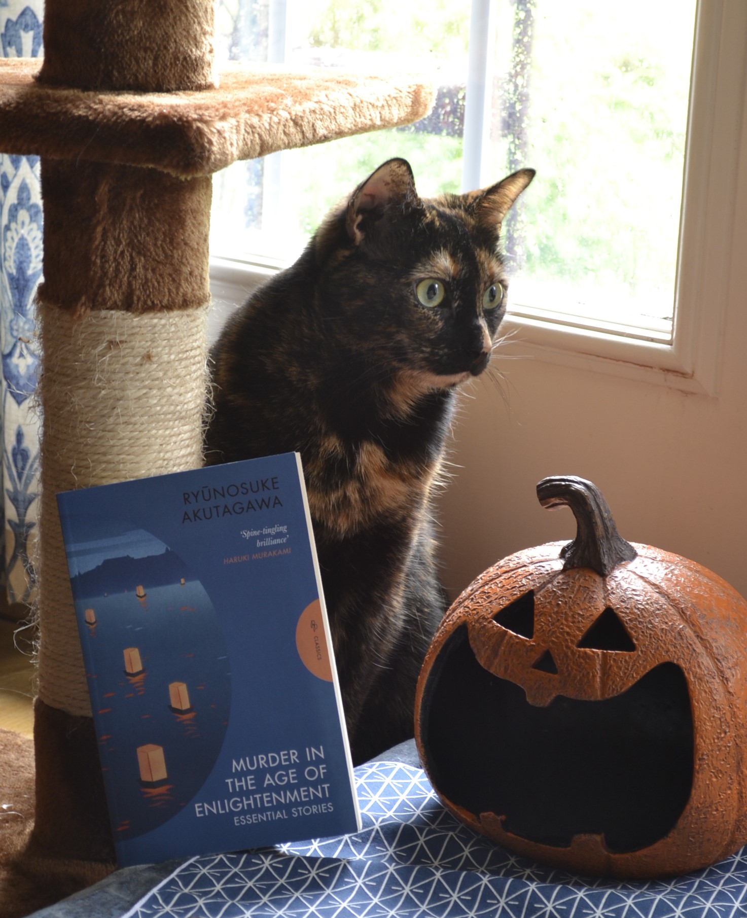 A tortie lurks behind a blue book and smiling jack-o-lantern. The book is Murder in the Age of Enlightenment.