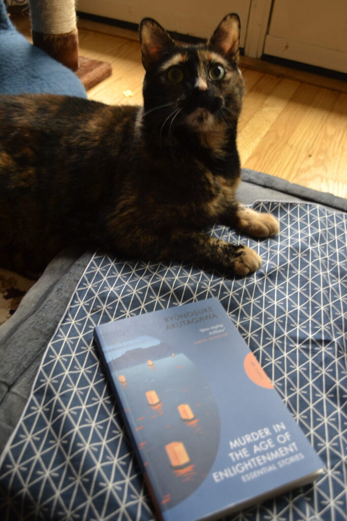 A tortie lies in a blue cloth with a white pattern, sitting with her head up and her ears alert. Beside her is a book: Murder in the Age of Enlightenment.