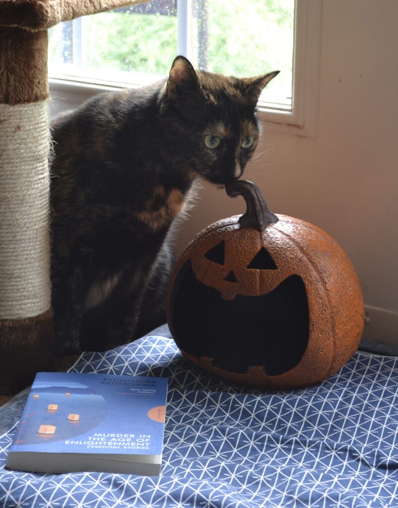 A tortie sniffs a smiling jack-o-lantern. Beside them is a blue book with a cover featuring golden paper lanterns floating on dark blue water.