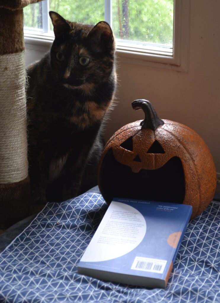 A tortie cat peeks around a cat tree. Beside her is a smiling pumpkin and a blue book on blue-and-white geometric cloth.