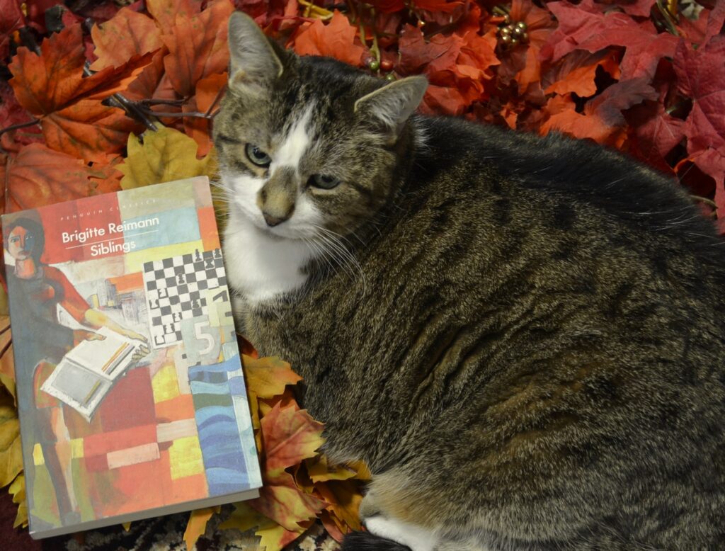 Nestled in some brightly coloured fake leaves is a tabby cat and a book: Siblings by Brigitte Reimann.