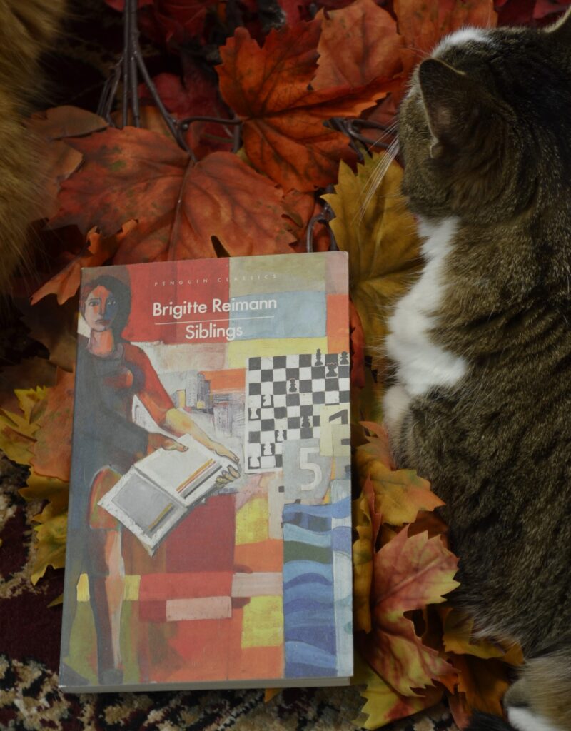 Nestled in some brightly coloured fake leaves is a tabby cat and a book: Siblings by Brigitte Reimann.