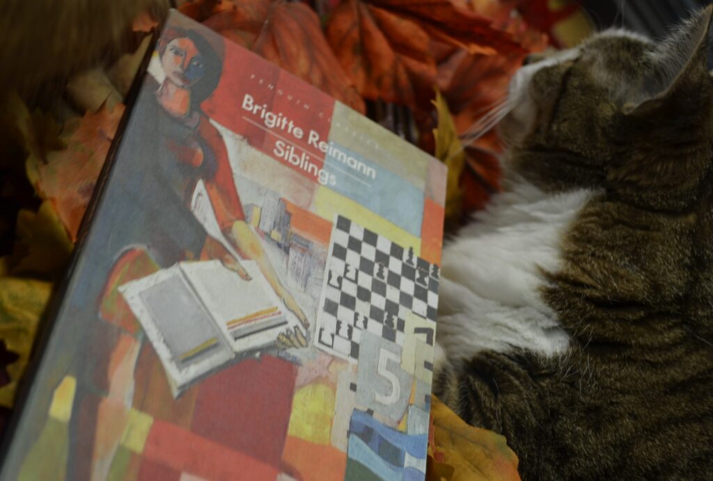 Nestled in some brightly coloured fake leaves is a tabby cat and a book: Siblings by Brigitte Reimann.