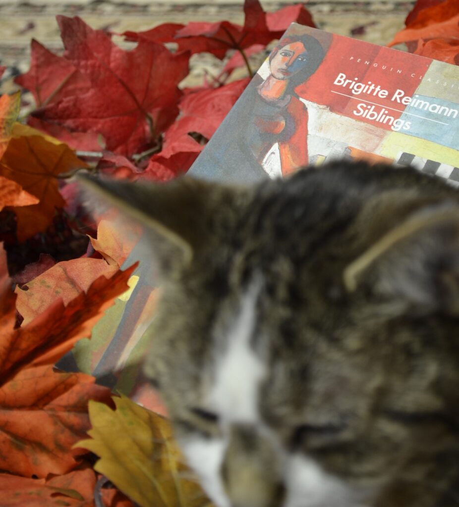 Nestled in some leaves is Brigitte Reimann's book Siblings.