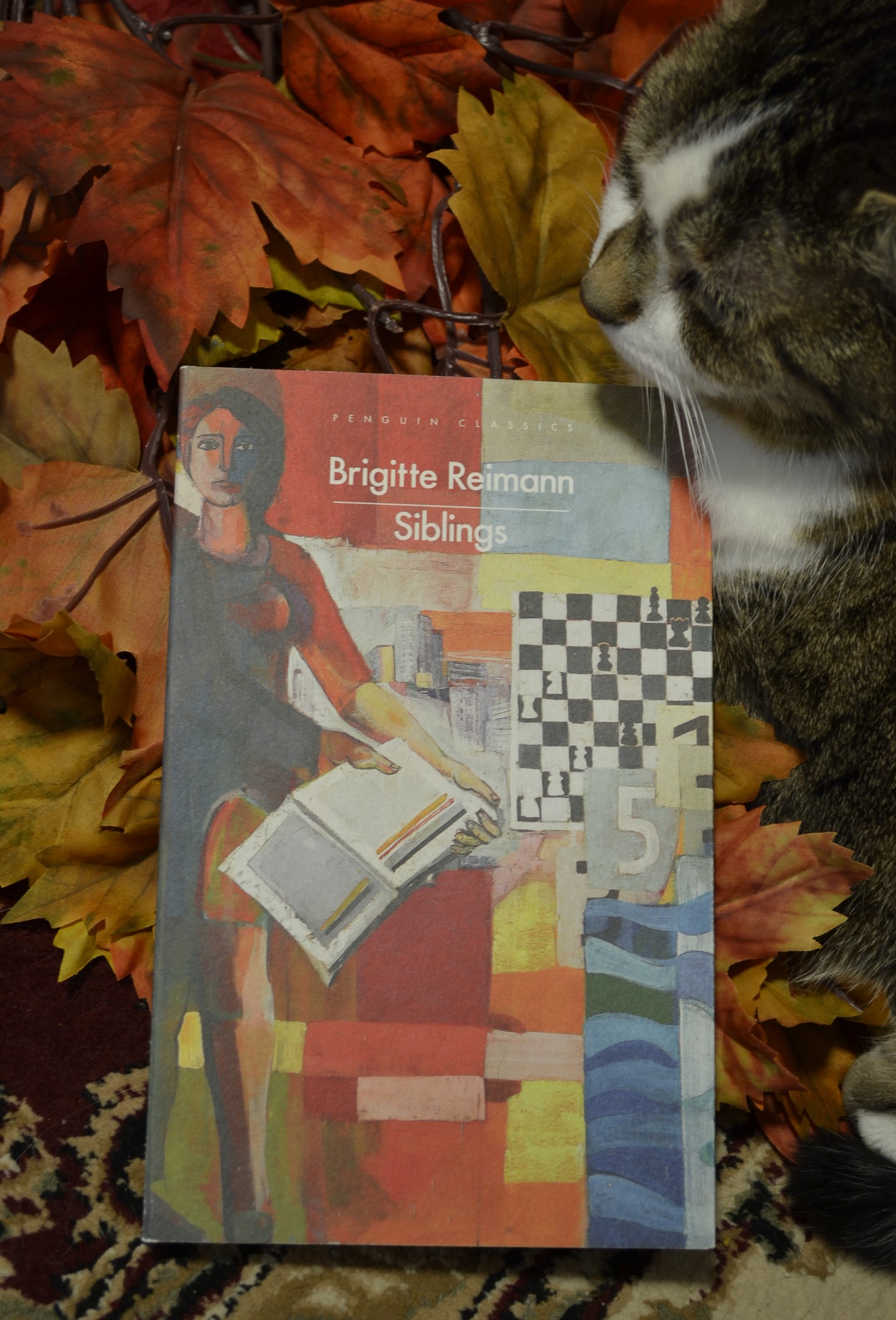 A tabby cat sits in a pile of fake leaves with a book.