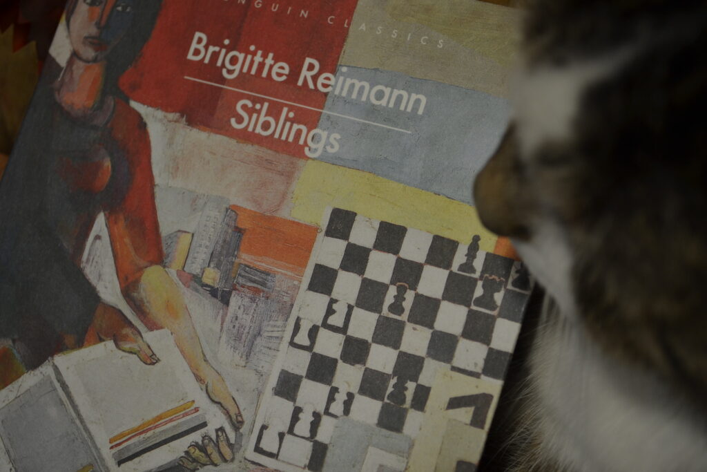 Siblings by Brigitte Reimann has a highly stylized picture of a woman reading and a chess board on the cover.