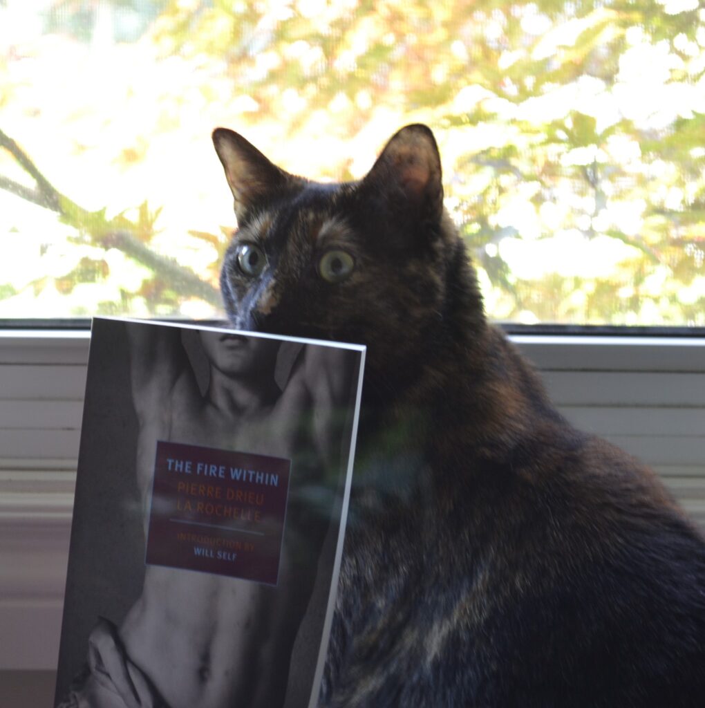 A tortoiseshell cat sits behind a book. The book features an image of a man cut off right about the lips. The tortie's face peaks out over top, completing the face.