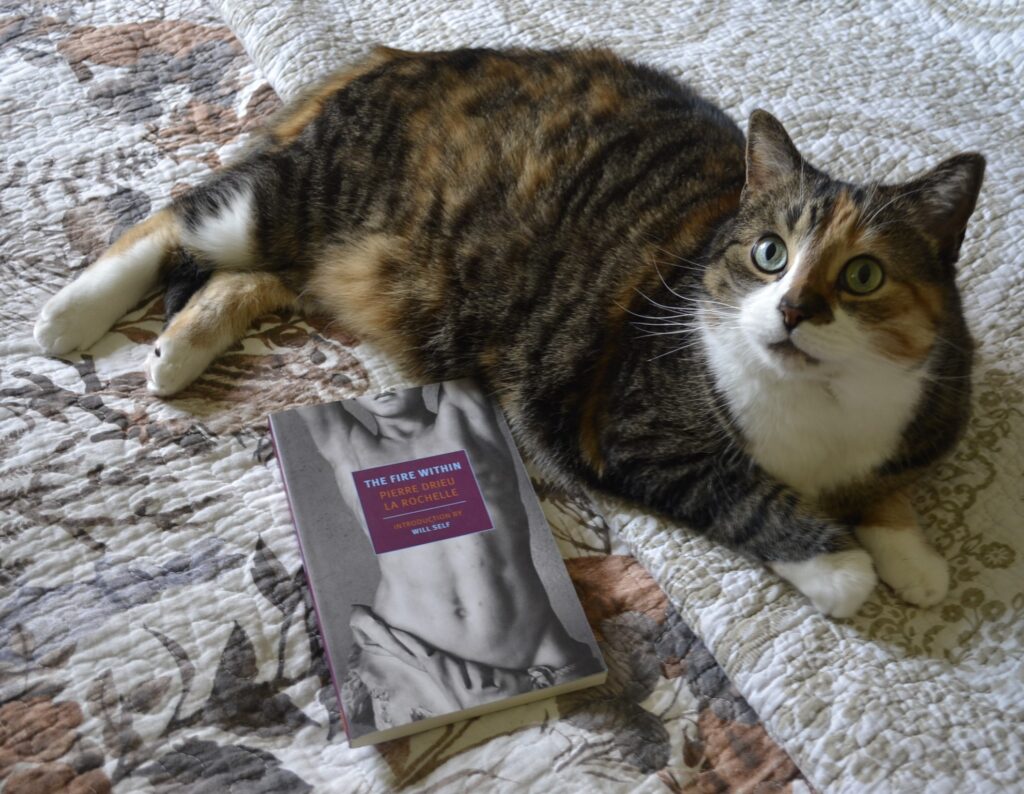 A calico tabby lies on a bed beside a book: The Fire Within.