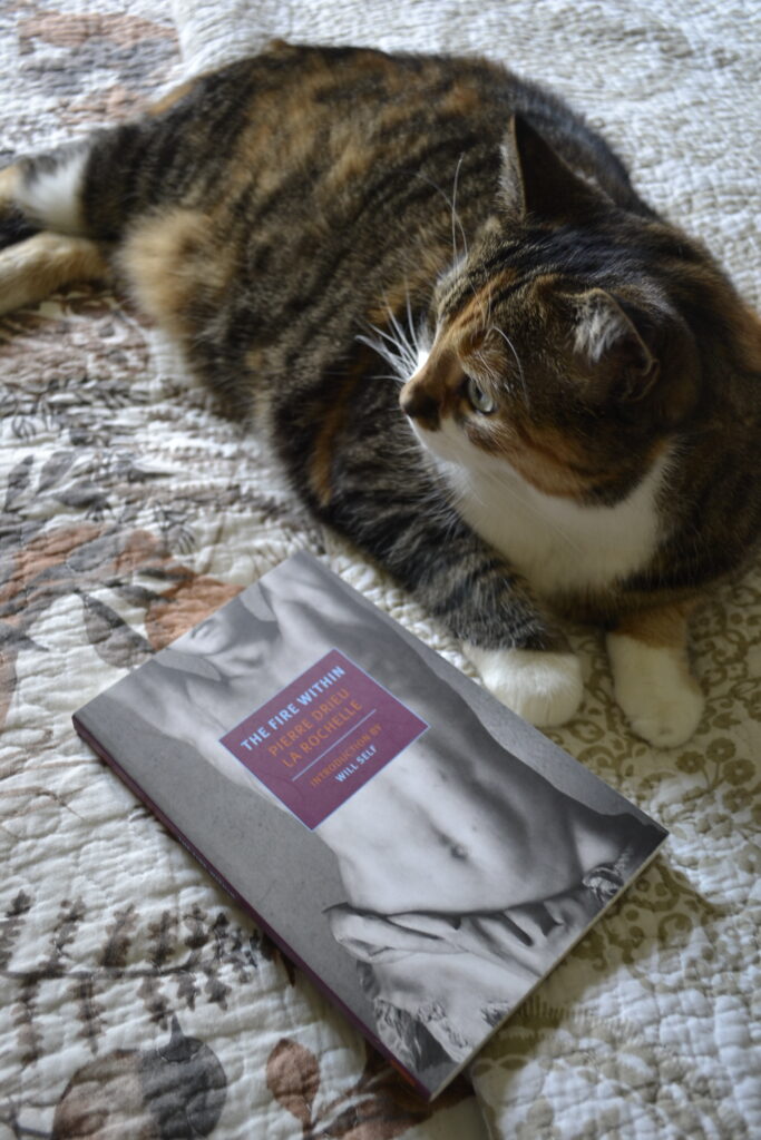 A calico tabby lies on a bed beside The Fire Within by Pierre Drieu La Rochelle.