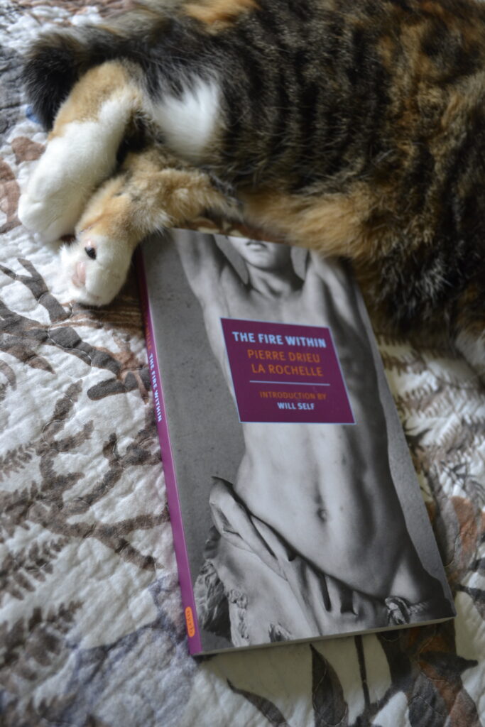 White and orange cat paws with spotty pink and black toe beans curl around a book with a purple spine.