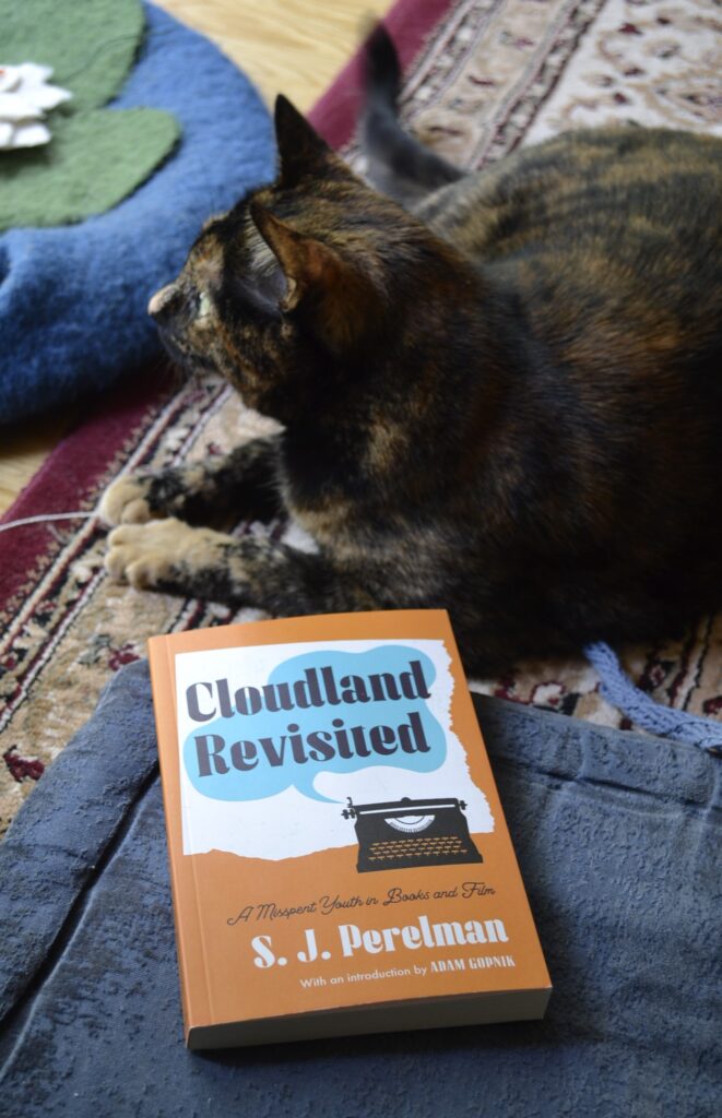 A tortie sits beside a blue cushion and a copy of Cloudland Revisited.