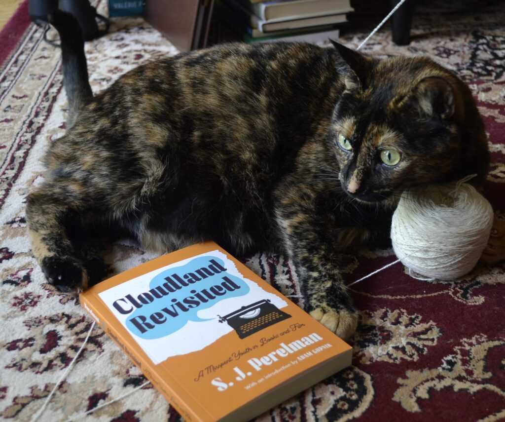 A tortie rests her chin on a white ball of wool. By her feet is an orange and blue book with a picture of a typewriter on it.