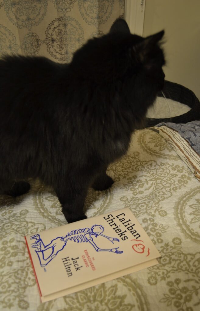 A black cat stands beside a white book.