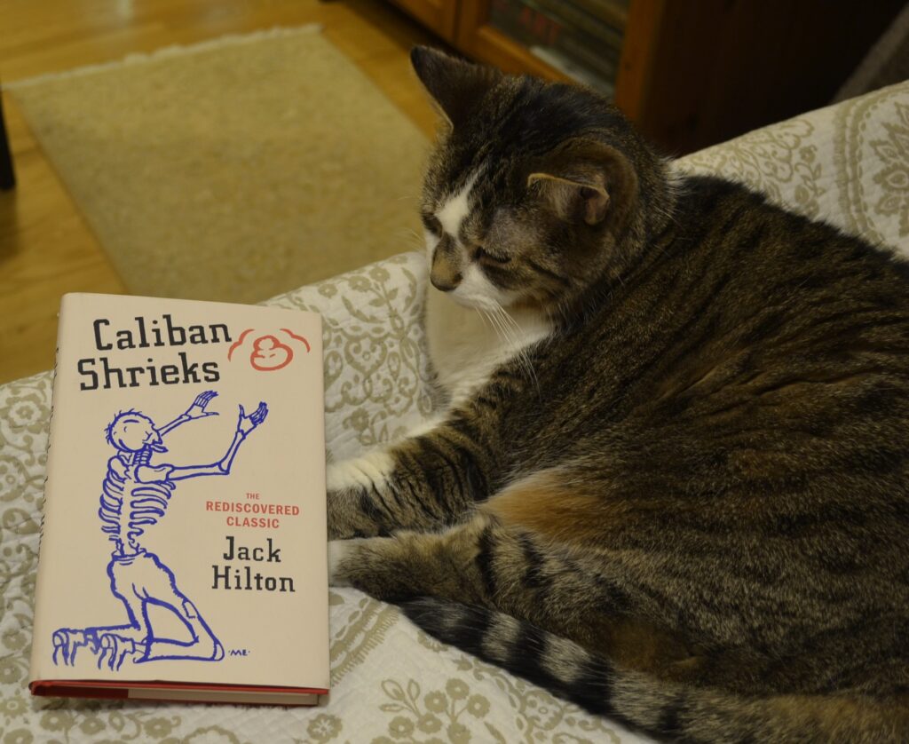 A tabby cat sleep next to a book. The book is Caliban Shrieks, and its white cover features a drawing of a skeleton reaching for a cloud.