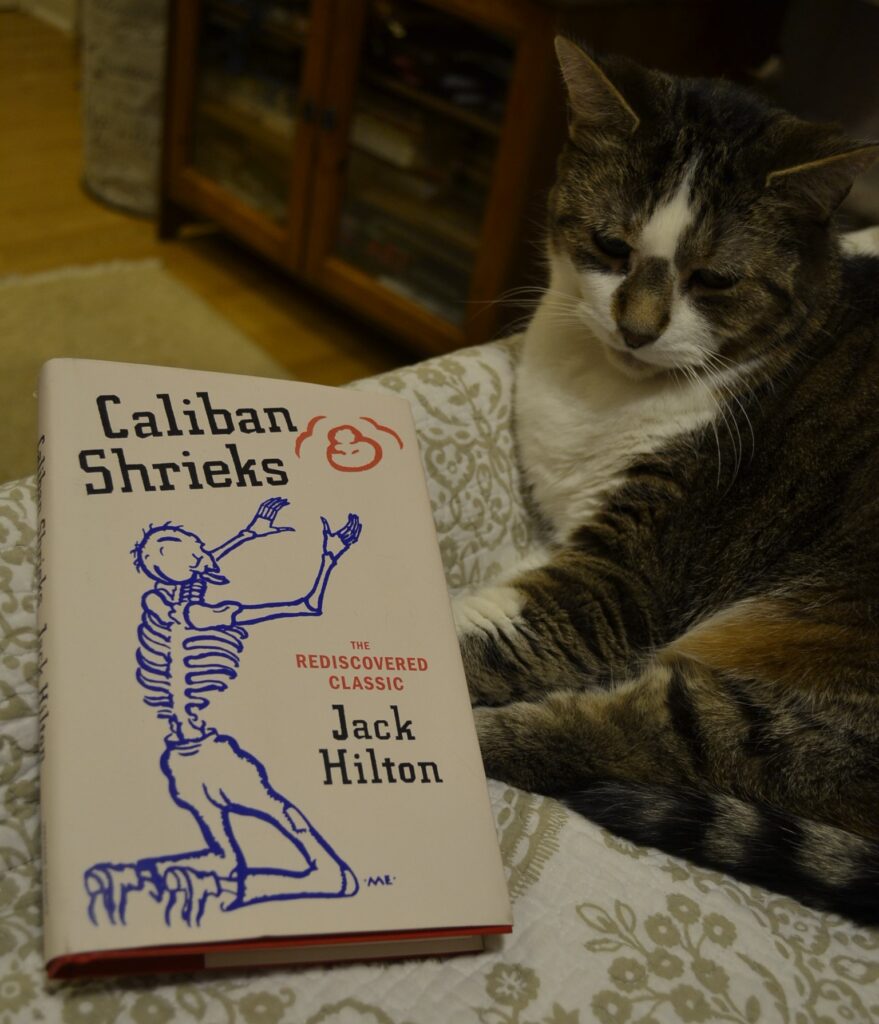 A tabby cat curls beside a book: Caliban Shrieks by Jack Hilton, the rediscovered classic.