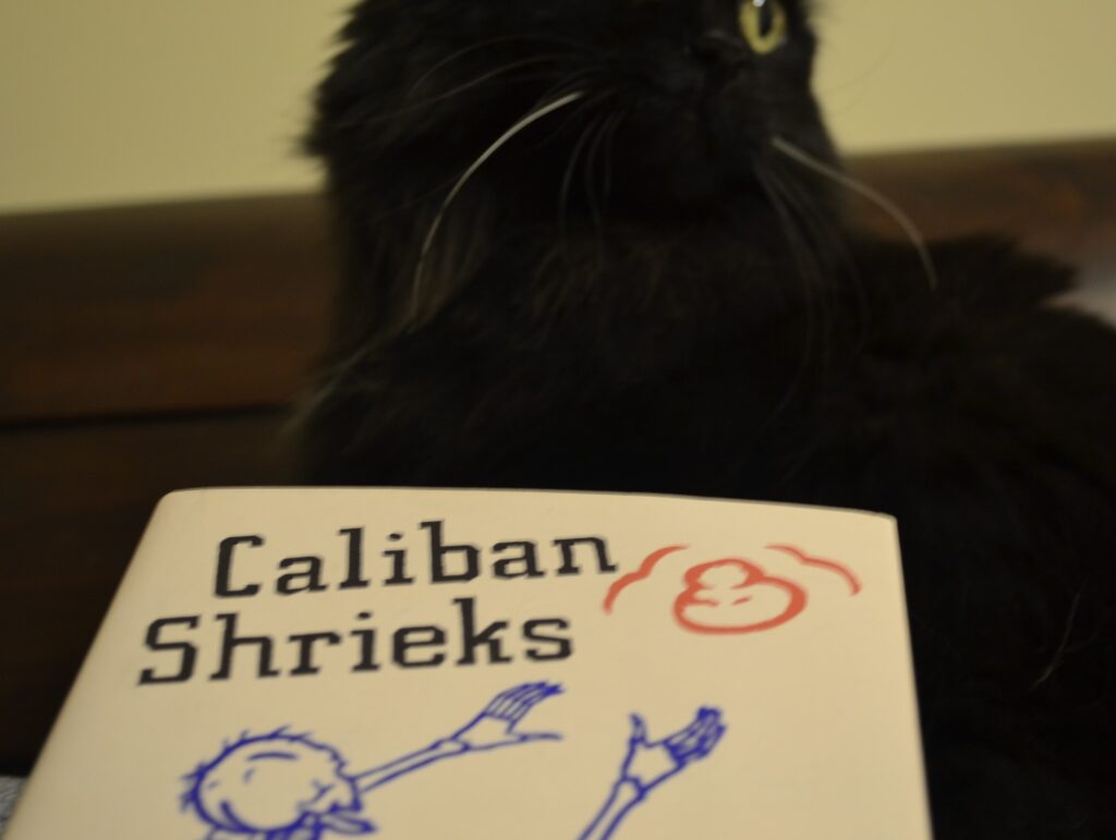 A black cat peers over the edges of a book.