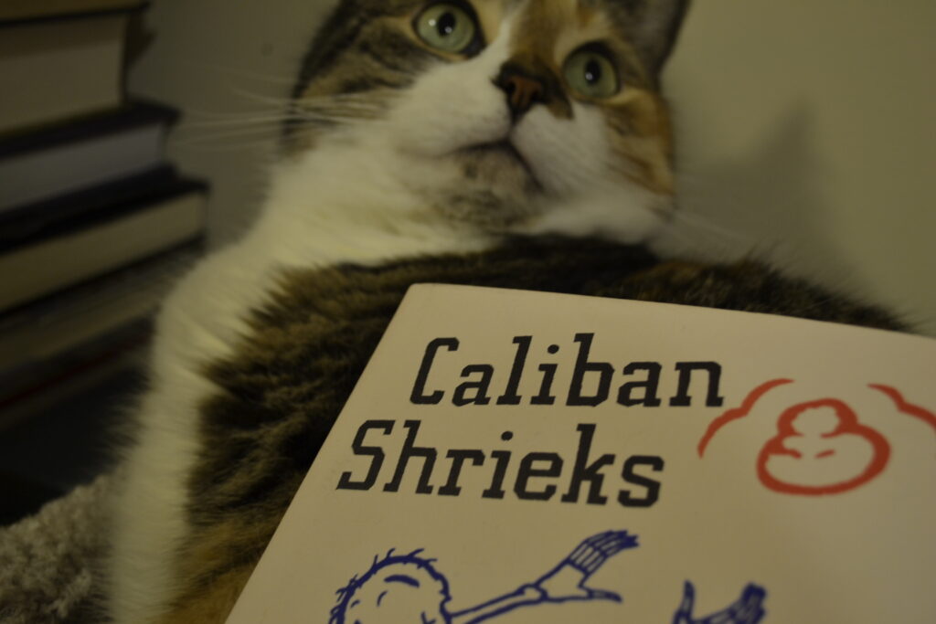 A tabby cat looks over the edge of a book called Calibran Shrieks.