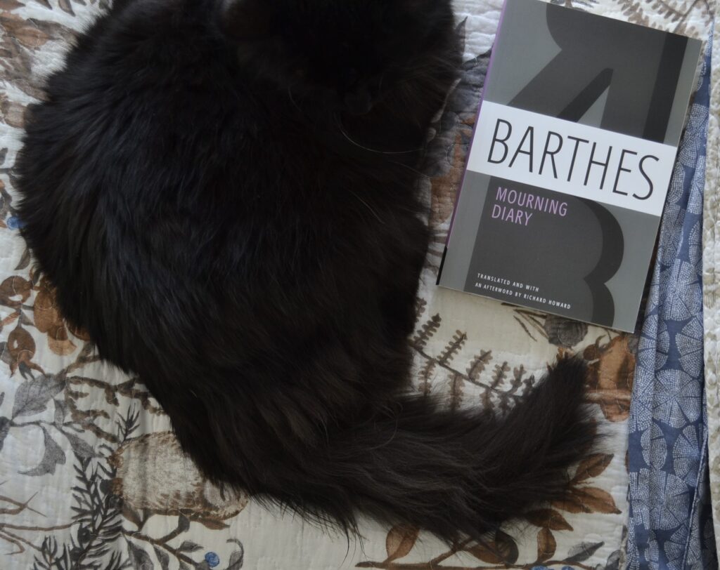 A black cat's tail curls around a grey book. The cover features an R and a B. It's Barthes' Mourning DIary, Translated by Richard Howard.