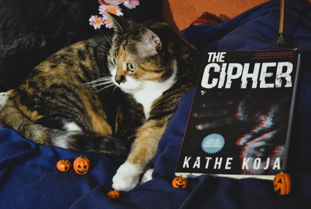 The Cipher lies on a blue blanket. A calico tabby and several miniature jack-o-lanterns lied beside it.