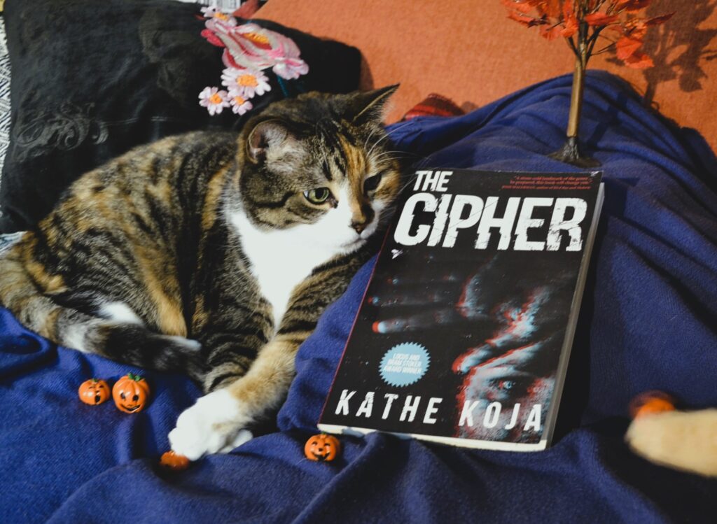 A calico cat lies on a blanket guarding five miniature pumpkin and an miniature tree with fall foliage. An orange paw is reaching out to steal one of the pumpkins.