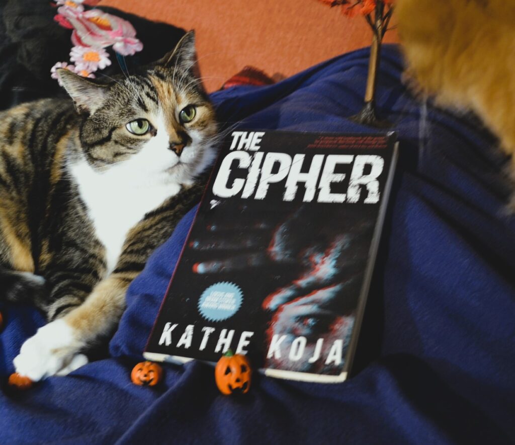 A calico tabby looks up over a book at an orange cat.