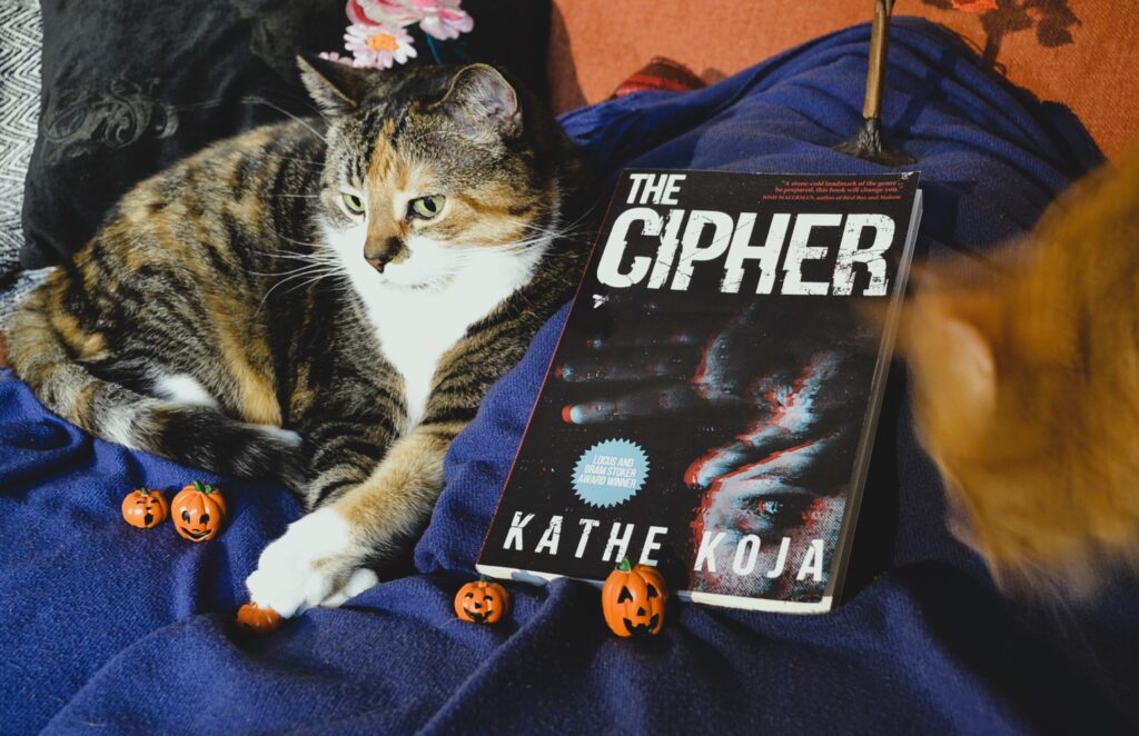 An orange cat approaches a calico tabby. The tabby gives her a side-eye over a book.